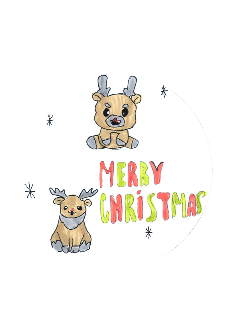 Federica, 12 - Santa Giustina (BL)